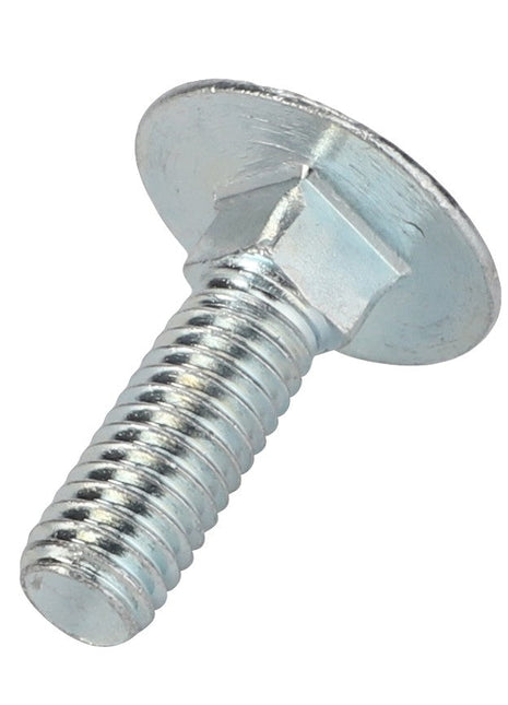 Close-up of the AGCO Truss Head Screw (0903-10-16-00) featuring a round head and threaded shaft. No current product description information available.