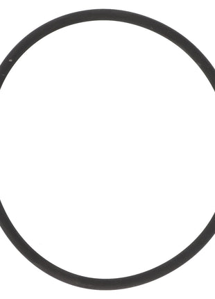 A black rubber O-ring, AGCO | O Ring - La17284481, from the brand AGCO, stands out against a white background with no current product description available.