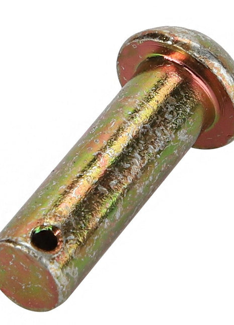 A close-up of the AGCO Pin - La320694550, a metal cylindrical pin with a hole near one end and a flat, slightly rounded head on the other. The surface shows signs of wear, but no current product description is available.