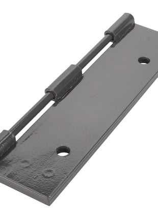 The AGCO | HINGE - D28580189 is a heavy-duty, gray metal hinge featuring two pivot points and two mounting holes. Brand: AGCO. No current product description information available.