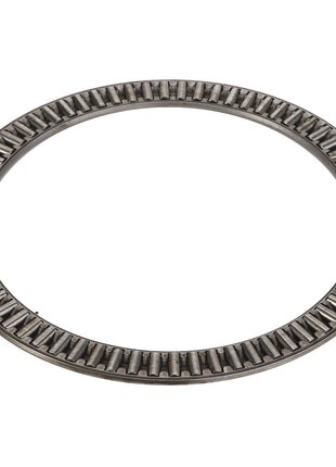 A top view of the AGCO | BEARING NEEDLE - ACY1566270 reveals its uniformly spaced cylindrical rollers, showcasing the precision engineering typical of AGCO products.