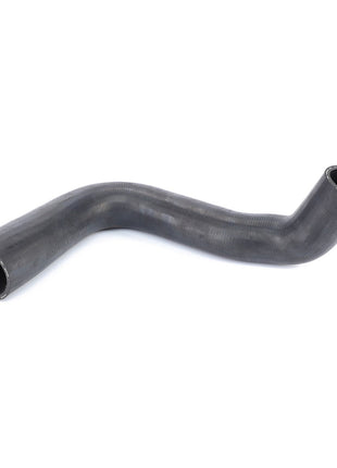 AGCO | Hose, Lower Radiator Hose - 3619055M1 - Farming Parts