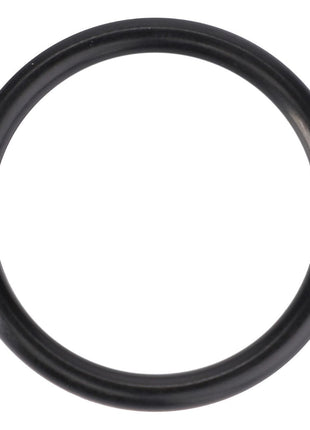 AGCO | O-Ring, Centre Housing, Ø 29,74 X 3,53 Mm - 70924111 - Massey Tractor Parts