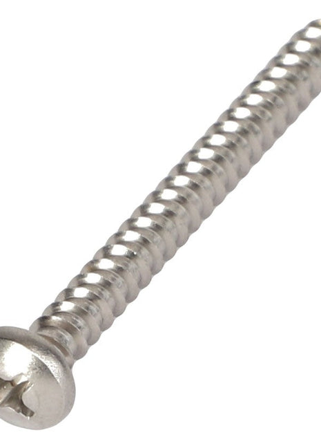 A close-up of the AGCO Screw - Acw6460380 by AGCO features a Phillips head and a finely threaded body, perfect for precision work.