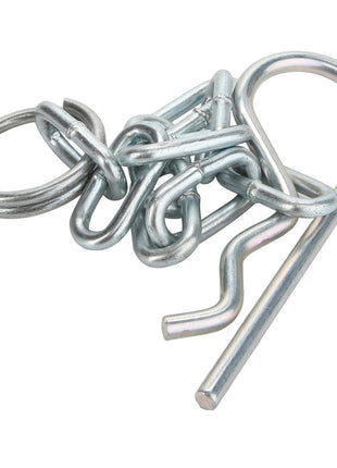 AGCO | Chain - Acp0418130 - Farming Parts