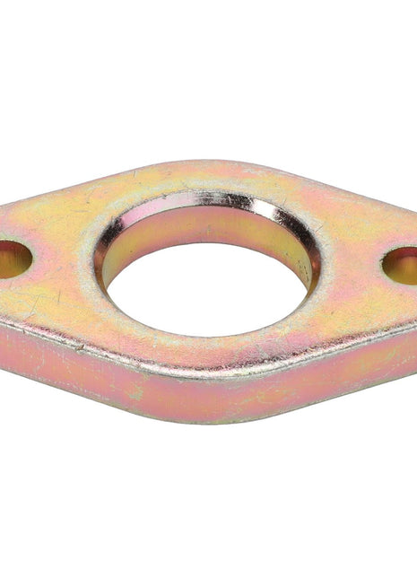 AGCO | Flange - F119200710190 - Farming Parts