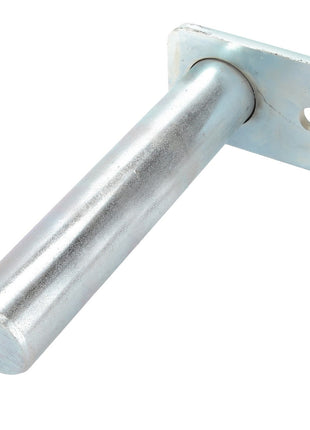 AGCO | Pin - Acp0029200 - Farming Parts