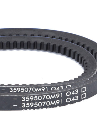 Close-up of a black rubber AGCO V-belt with white alphanumeric markings, including "3595070M91" and "316." The belt, an optimal performance part of the AGCO Genuine V-Belts lineup, has ridges along its inner surface and is used in Massey Ferguson machinery. This product is sold as a matched pair.