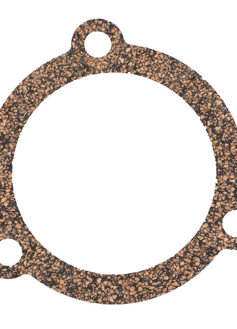 A round cork gasket branded by AGCO, featuring the model number V836129946, has two small holes and one larger hole evenly spaced around its perimeter. No current product description available.