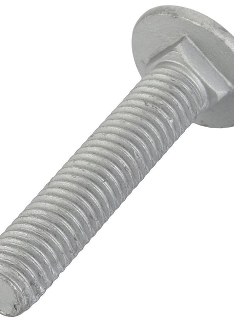 AGCO | Round Head Square Neck Carriage Bolt - Acw1059430 - Farming Parts