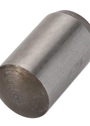 A metallic cylindrical rod with a flat base and a beveled top edge, identified as AGCO | Spring Pin - Acp0445720 by the brand AGCO. No current product description available.