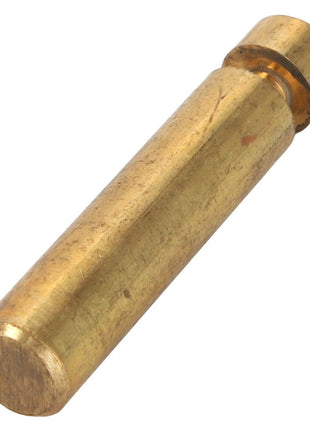 AGCO | Pin - Acp0010260 - Farming Parts