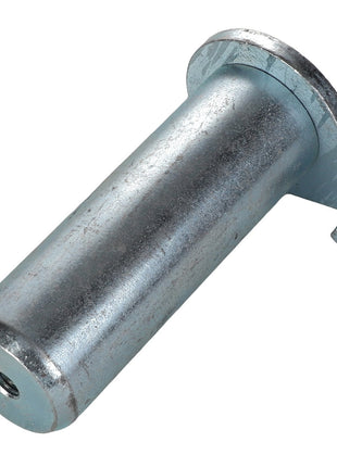 AGCO | PIN - AL9020059