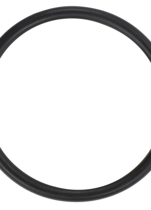 A black, circular rubber O-ring labeled "AGCO | O Ring - Acw2078010" against a white background with no current product description information available.