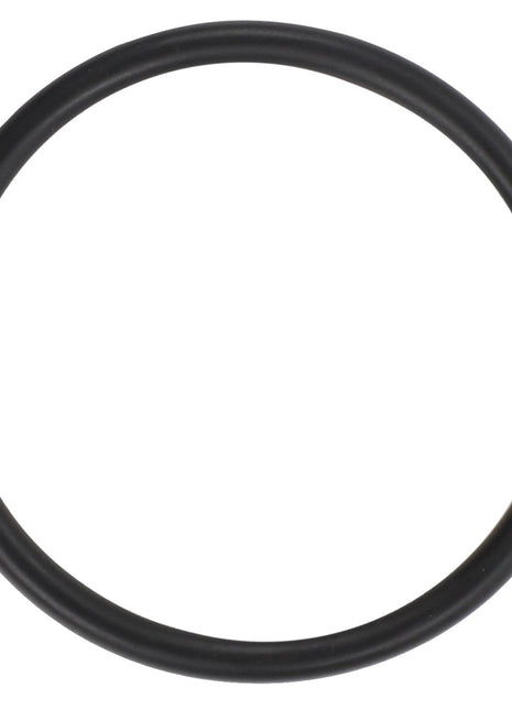 A black, circular rubber O-ring labeled "AGCO | O Ring - Acw2078010" against a white background with no current product description information available.