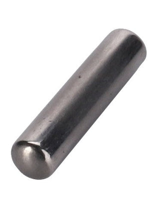 A cylindrical metal dowel or pin with a smooth, shiny surface, often used in the assembly of Massey Ferguson models, is the AGCO Bearing Needle - 831485M1.