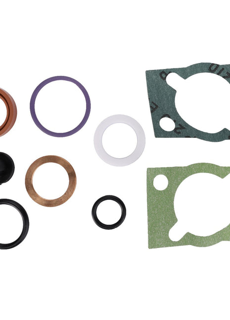 The AGCO Seal Kit - F294100610020, featuring a meticulously arranged assortment of gaskets and o-rings made from materials such as rubber, metal, and fiber, is displayed against a pristine white background.