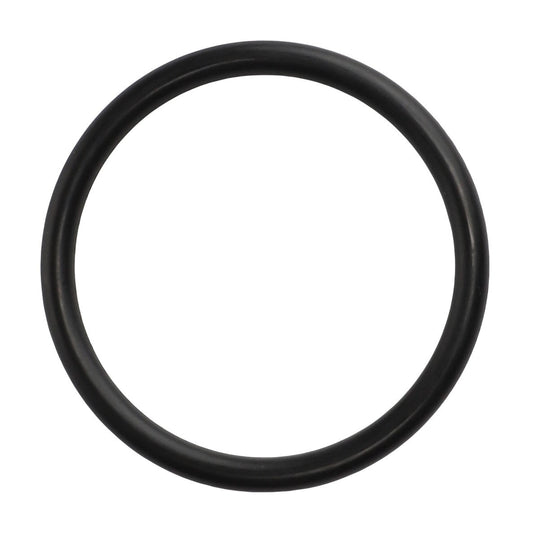 No current product description available: The AGCO O Ring - 3007154X1 is a black rubber O-ring, circular in shape, and shown on a white background.