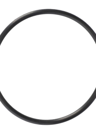 AGCO | O Ring - 3697842M1 - Massey Tractor Parts