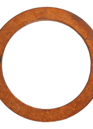 AGCO | WASHER - AL5013604