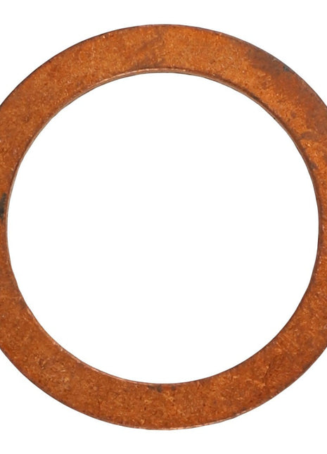 AGCO | WASHER - AL5013604