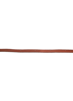 Introducing the AGCO Inner Seal - Acx2545880: A versatile brown leather strip with evenly spaced holes along its length, perfect for a variety of applications. Brought to you by AGCO.