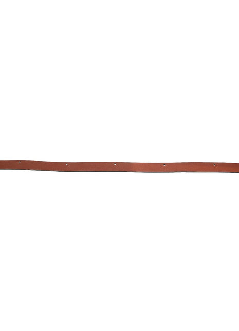Introducing the AGCO Inner Seal - Acx2545880: A versatile brown leather strip with evenly spaced holes along its length, perfect for a variety of applications. Brought to you by AGCO.