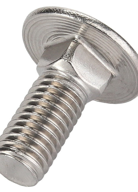 AGCO | Round Head Square Neck Carriage Bolt - Acx2188610 - Farming Parts