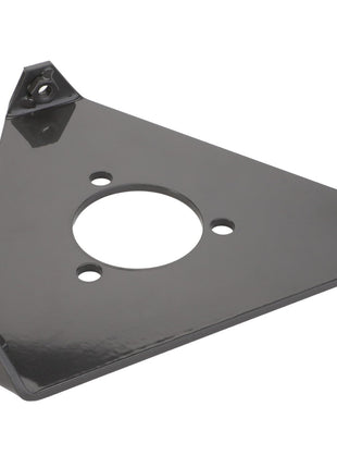 AGCO | BEARING PLATE - D28580301