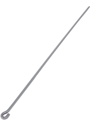Introducing the AGCO | Tine - Acw2066870 by AGCO: a long, slender metal rod featuring a convenient hook at one end, perfect for versatile use and easy handling.
