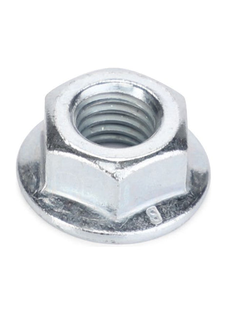 AGCO | Hex Flange Nut - 3019124X1 - Massey Tractor Parts