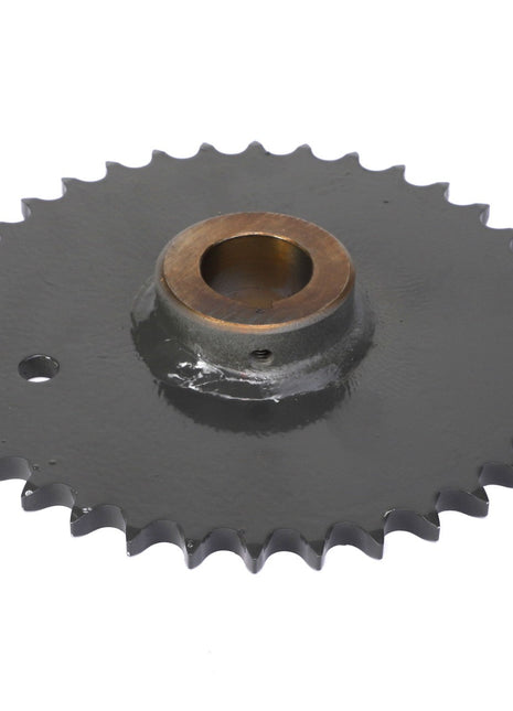 A metallic sprocket with a central hole and uniformly spaced teeth around its edge is available under the product name AGCO | Sprocket - Acx2599860 by the brand AGCO.