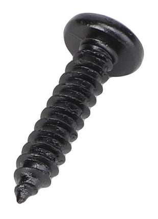 Close-up view of the AGCO Pan Head Screw - Acx2549480, a black self-tapping screw with a threaded shaft and pointed tip. No current product description information is available beyond this visual detail.