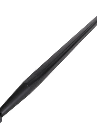 The AGCO | Spike - Acp0293610 is a sleek black, pointed metal rod with a threaded end, complemented by a sturdy hexagonal nut.