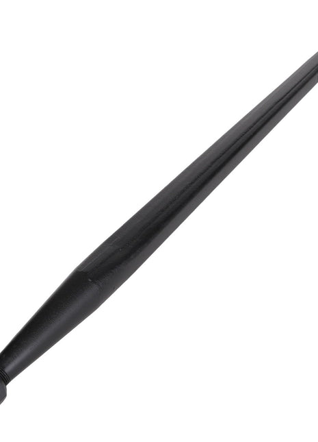 The AGCO | Spike - Acp0293610 is a sleek black, pointed metal rod with a threaded end, complemented by a sturdy hexagonal nut.