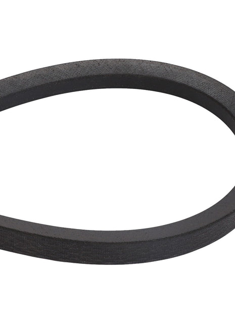 AGCO | V BELT - D41935500