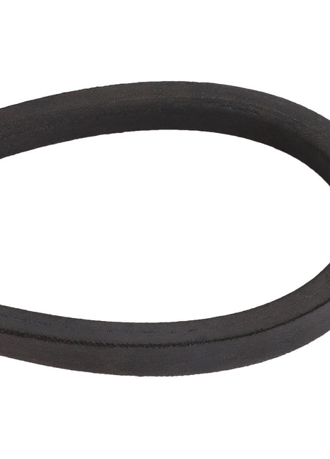 Close-up of an AGCO black rubber V-belt (model D41959100) forming a loop against a white background. Product description by AGCO is not currently provided.