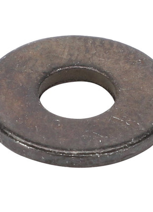 AGCO | FLAT WASHER - AG331320