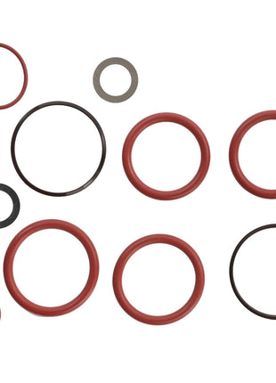 AGCO | Seals Kit - Acp0418160 - Farming Parts