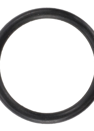 Close-up view of the AGCO | O Ring - Acw2077970 in black rubber. No current product description information is available.