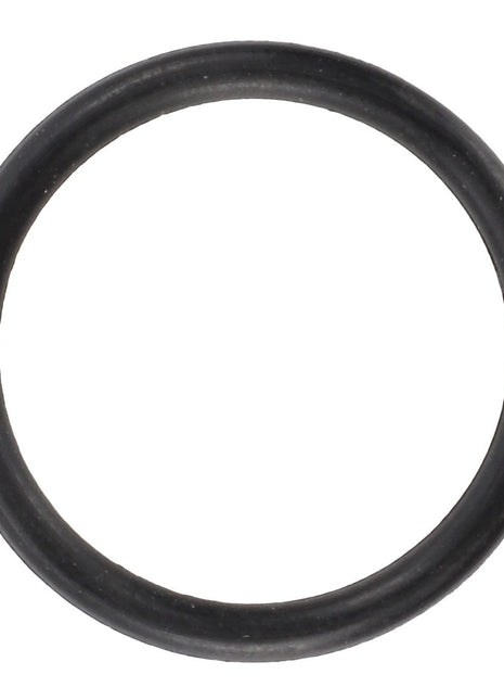 Close-up view of the AGCO | O Ring - Acw2077970 in black rubber. No current product description information is available.