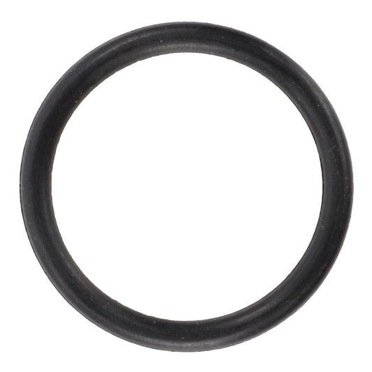 Close-up view of the AGCO | O Ring - Acw2077970 in black rubber. No current product description information is available.