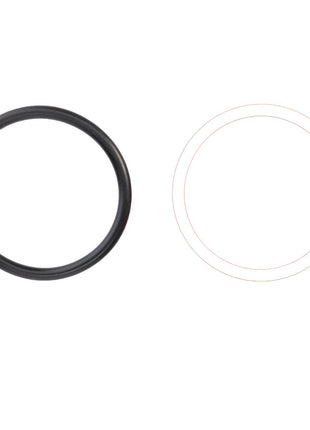 Side-by-side image displaying a black rubber O-ring on the left and a faded white outline of an O-ring on the right, indicating that product description information for the AGCO | SEAL KIT - F716961661010 by AGCO is currently unavailable.