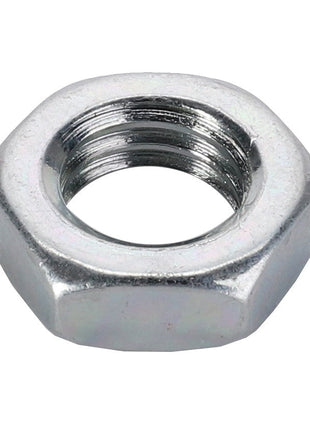 AGCO | Hex Nut - 3009696X1 - Farming Parts
