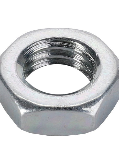 AGCO | Hex Nut - 3009696X1 - Farming Parts