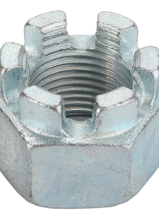 A close-up view of the AGCO Castle Nut - D41054100, showcasing its distinct notched design in a silver metallic finish. Currently, there is no additional product description available for this unique component.