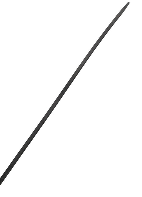 AGCO | CABLE TIE - D45068000