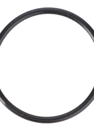 AGCO | O-Ring - X590980100000 - Massey Tractor Parts
