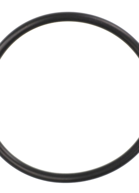 An AGCO O Ring - Acp0287250, a circular black rubber component commonly used in sealing applications, is carefully displayed against a pristine white background.