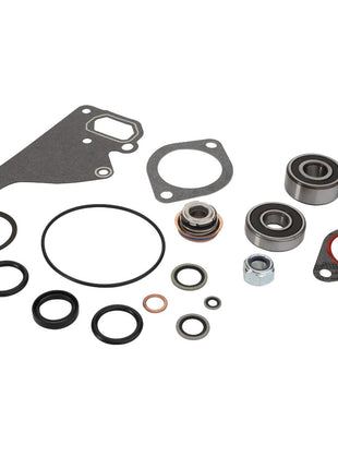 A collection of various automotive gaskets, bearings, O-rings, and seals arranged on a white background featuring the AGCO | Water Pump Repair Kit - Acp0566440.